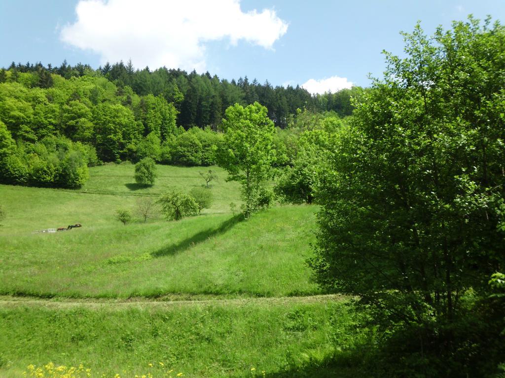Finken, Gaestezimmer An Der Rench Oppenau Εξωτερικό φωτογραφία