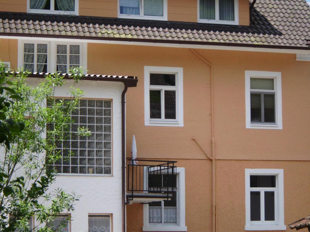 Finken, Gaestezimmer An Der Rench Oppenau Εξωτερικό φωτογραφία